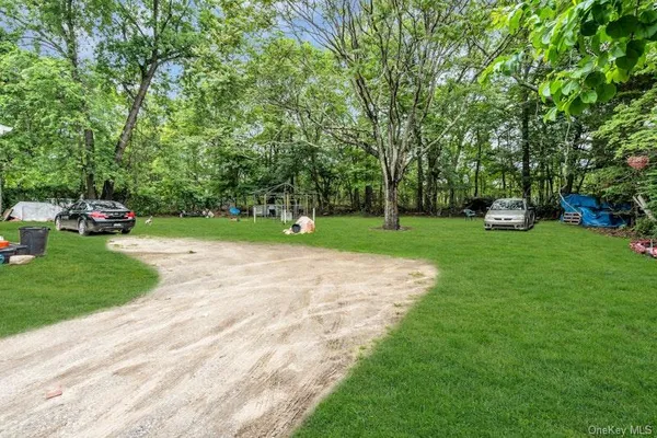a view of a park with large trees