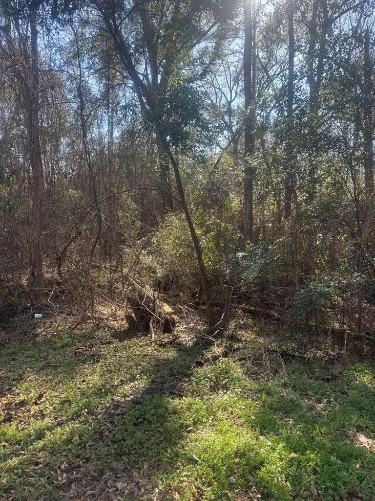 0 Vining Drive Dothan, AL 36303 - Photo 2 of 7