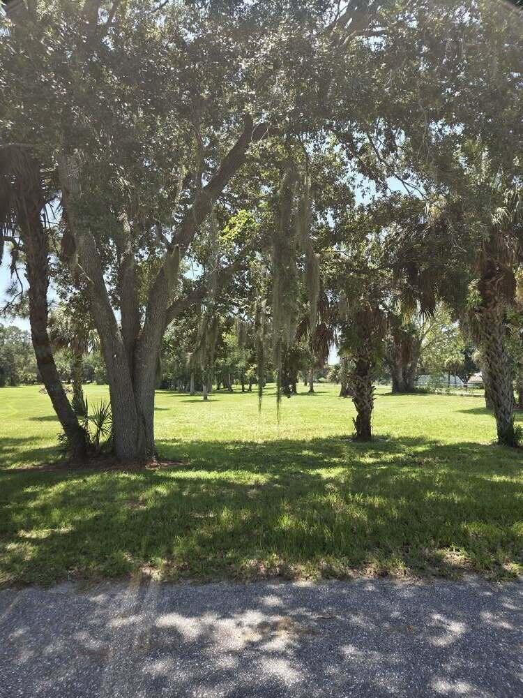 0 Southwest 16th Drive Okeechobee, FL 34974 - Photo 4 of 7 a view of a trees in a yard