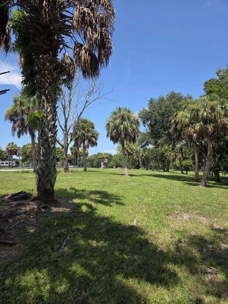 0 Southwest 16th Drive Okeechobee, FL 34974 - Photo 5 of 7 a view of a trees in a yard