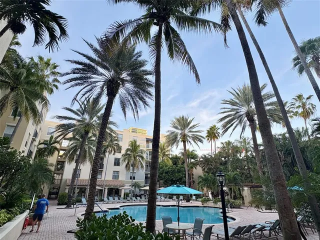 a view of multiple palm trees
