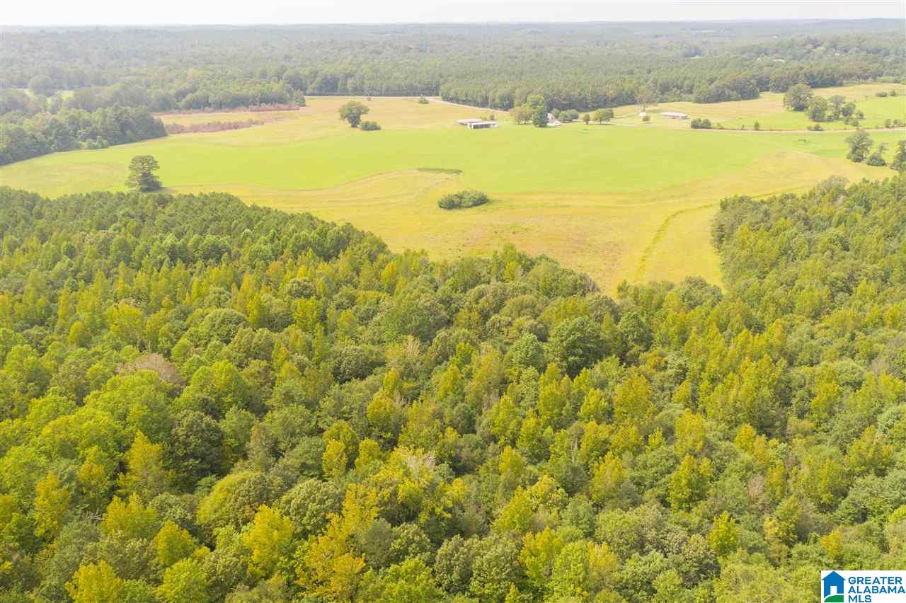 205 County Road 3 Reform, AL 35481 - Photo 17 of 46