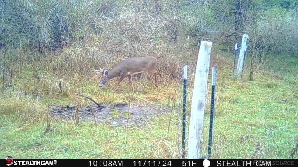 Goodrich Road Herron, MI 49744 - Photo 19 of 19 Gallery Image 19