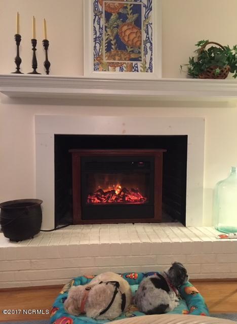 837 Pinecrest Road Bath, NC 27808 - Photo 33 of 33 Fireplace