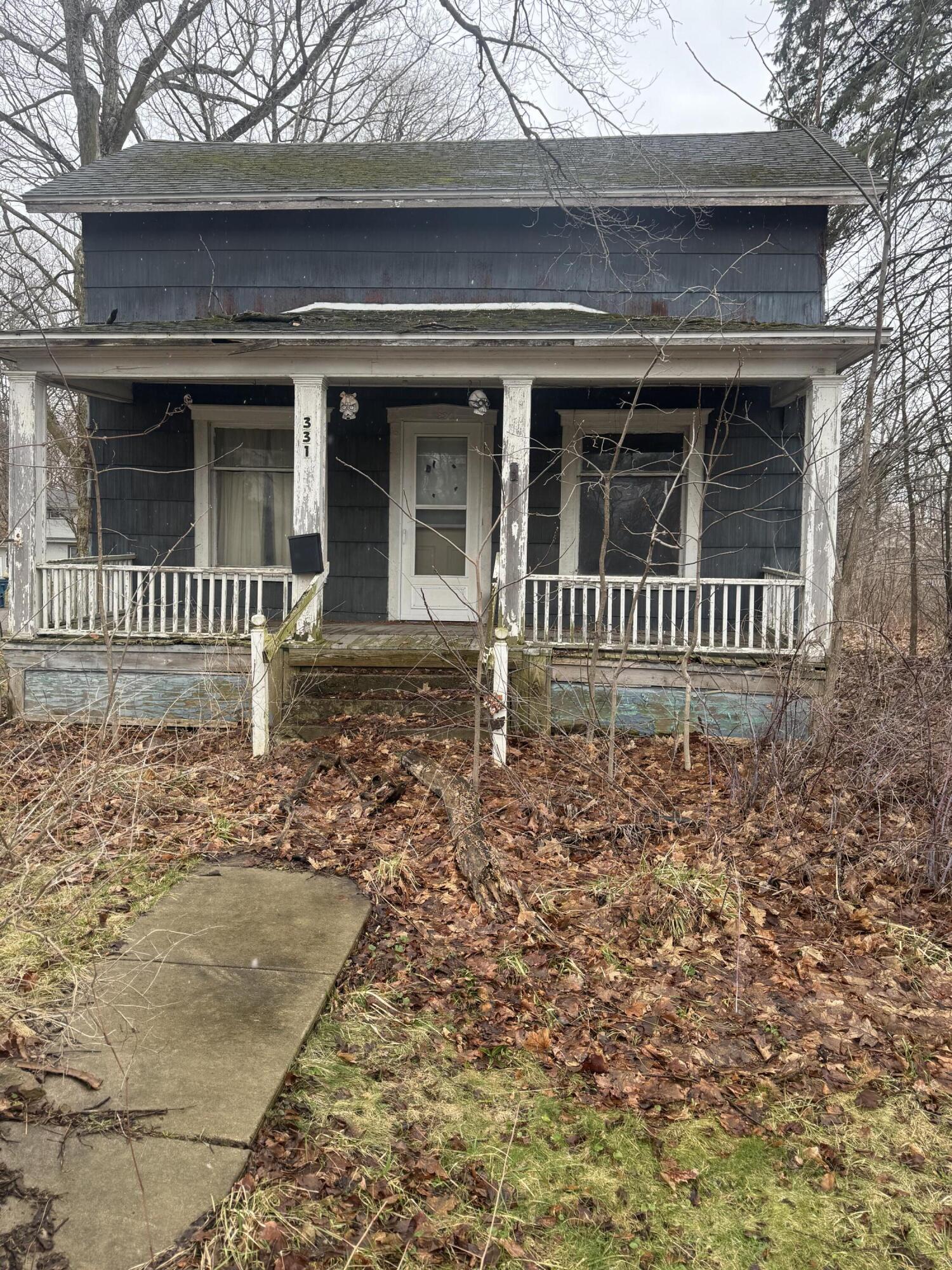 331 South Main Street Bellevue, MI 49021 - Photo 1 of 15 IMG_3439