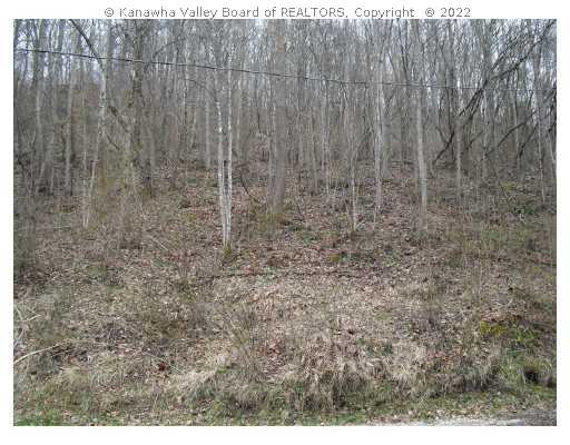 0 Covert Branch Road Chapmanville, WV 25508 - Photo 3 of 3 Land.