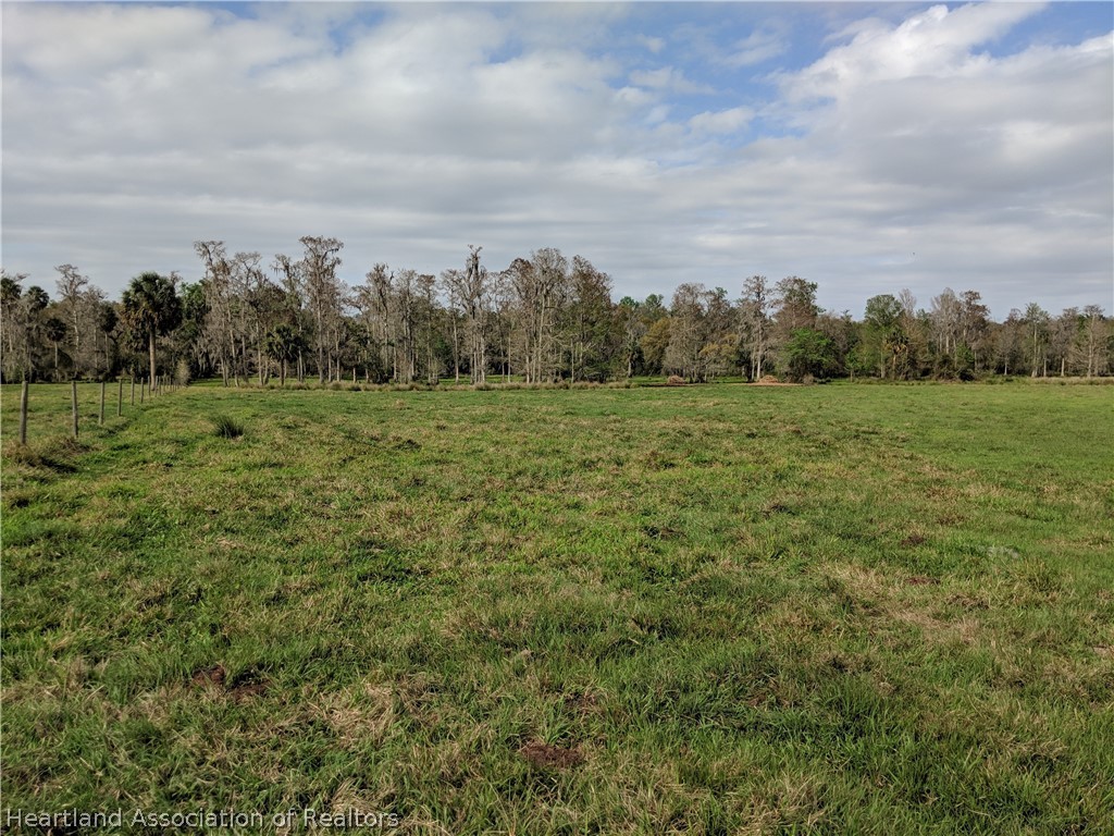 3629 Parnell Road Zolfo Springs, FL 33890 - Photo 14 of 20 Gallery Image 14
