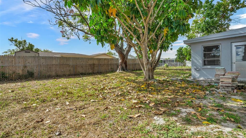 7124 Parrot Drive Port Richey, FL 34668 - Photo 24 of 29 a backyard of a house with lots of green space