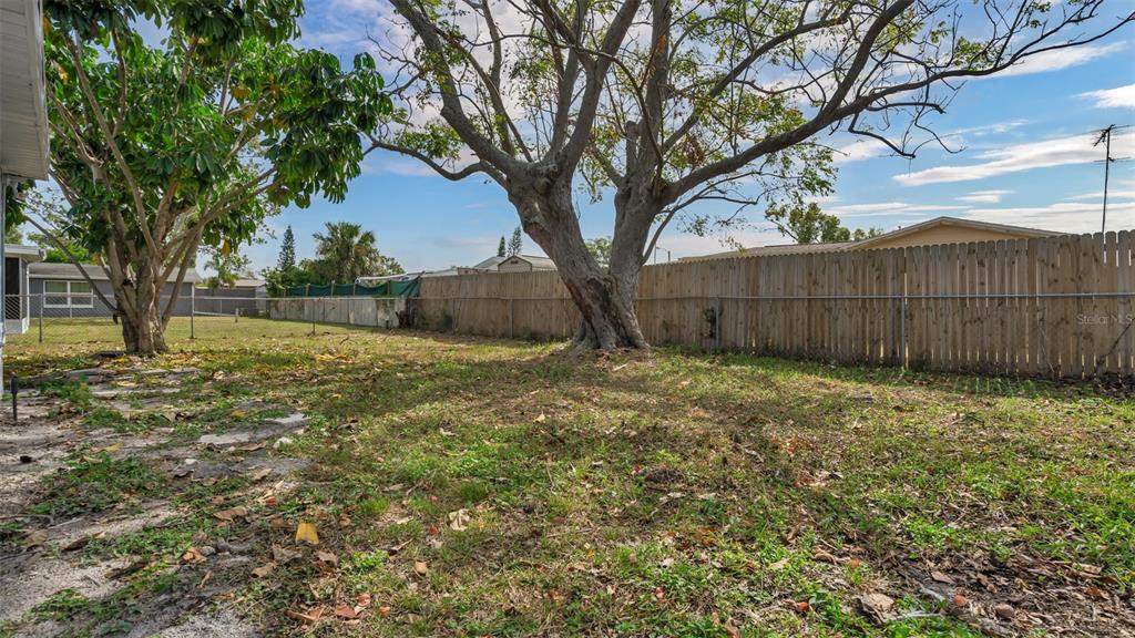 7124 Parrot Drive Port Richey, FL 34668 - Photo 28 of 29 a view of backyard with tree