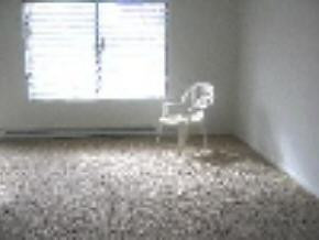 219 Maple Street Glade Spring, VA 24340 - Photo 3 of 3 Photo 3