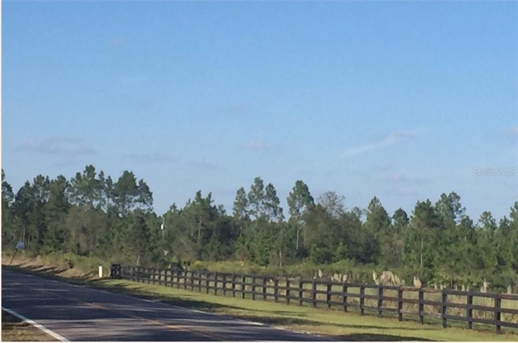 Cowpen Road Sanderson, FL 32087 - Photo 1 of 1 Gallery Image 1