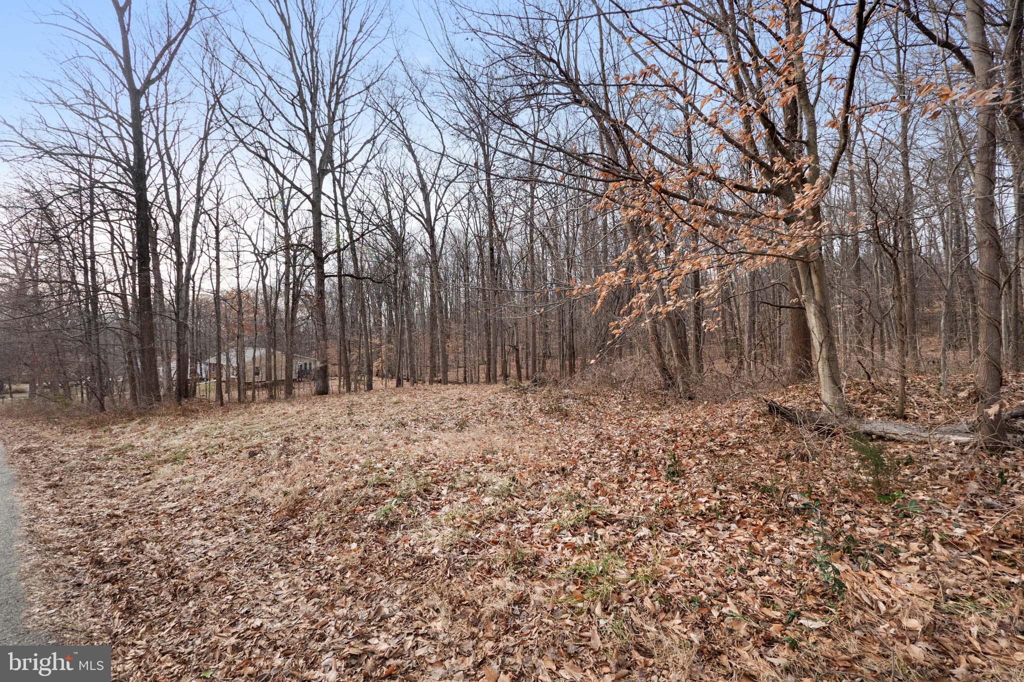 7034 Roxann Road Alexandria, VA 22315 - Photo 1 of 15 Gallery Image 1