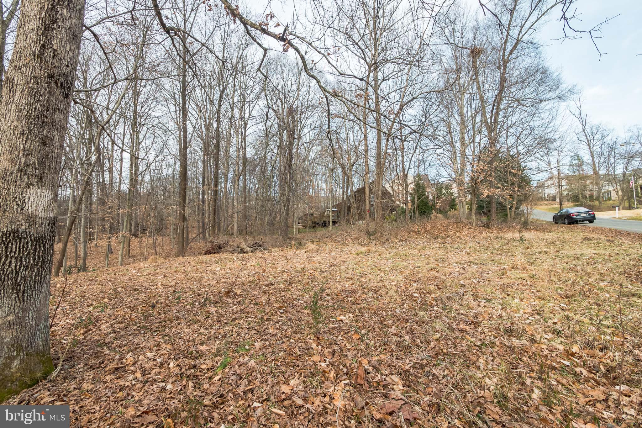 7034 Roxann Road Alexandria, VA 22315 - Photo 15 of 15 Gallery Image 15