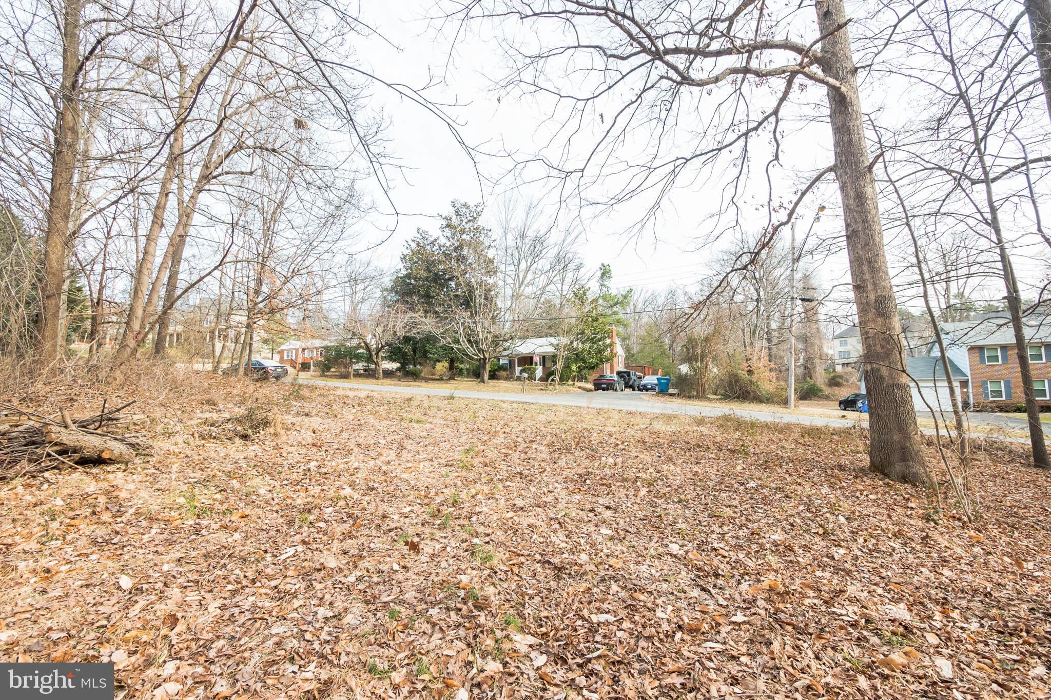 7034 Roxann Road Alexandria, VA 22315 - Photo 5 of 15 Gallery Image 5