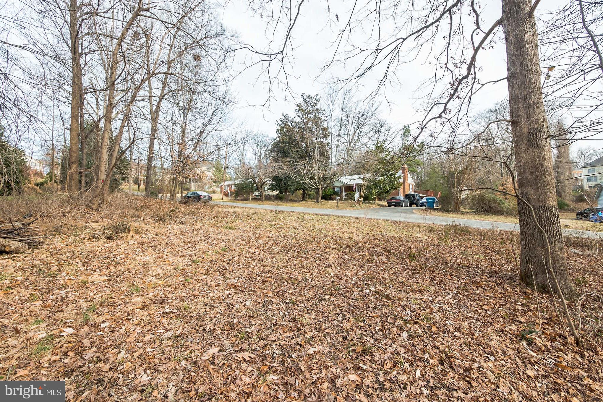 7034 Roxann Road Alexandria, VA 22315 - Photo 8 of 15 Gallery Image 8