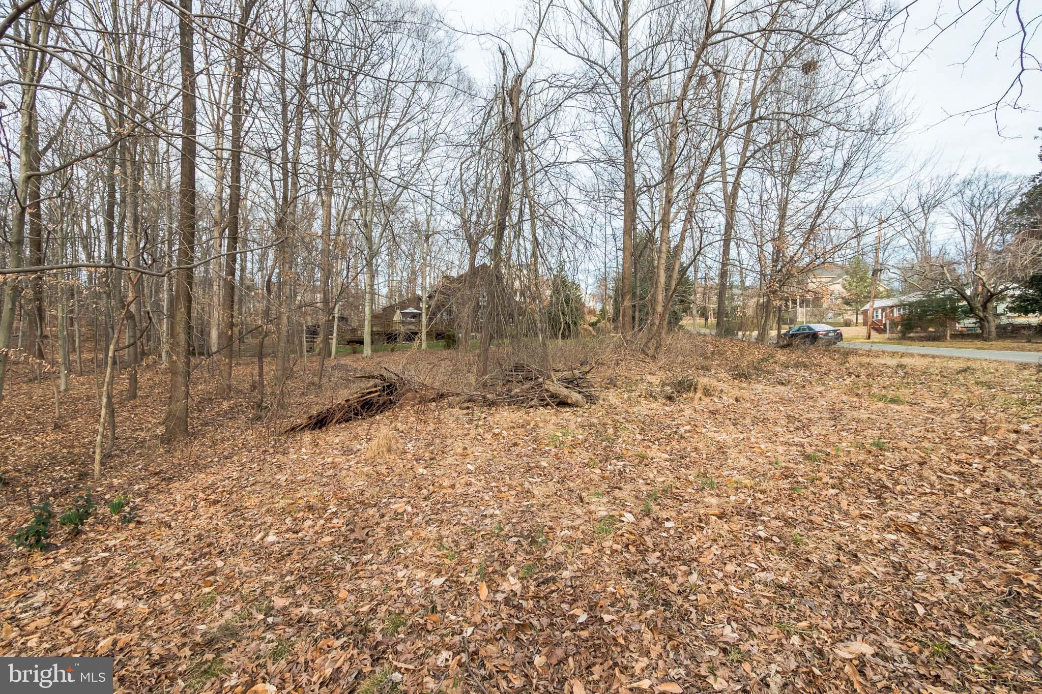 7034 Roxann Road Alexandria, VA 22315 - Photo 9 of 15 Gallery Image 9