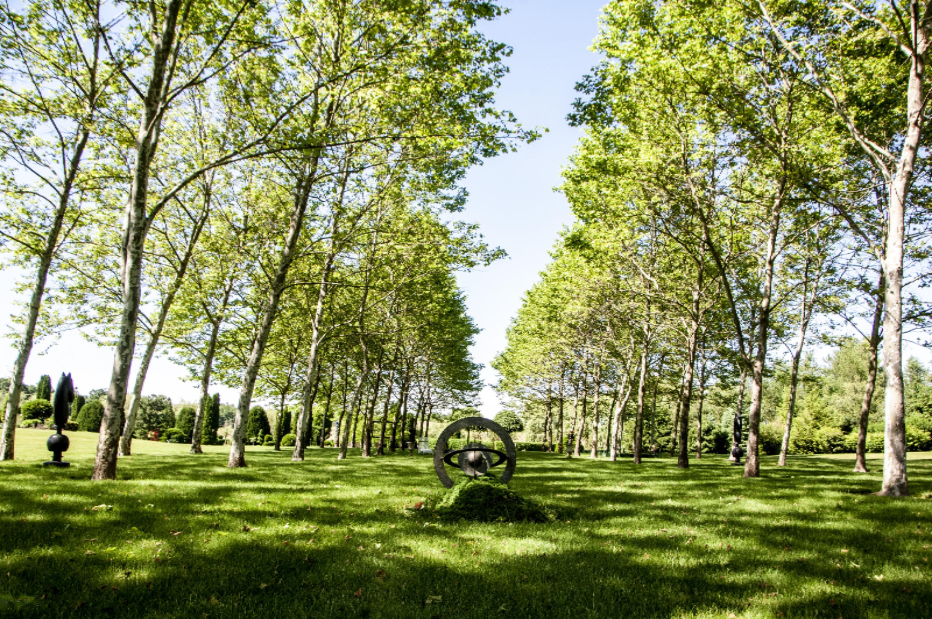 2217 West Wagner Road Buchanan, MI 49107 - Photo 47 of 69 REN_3445