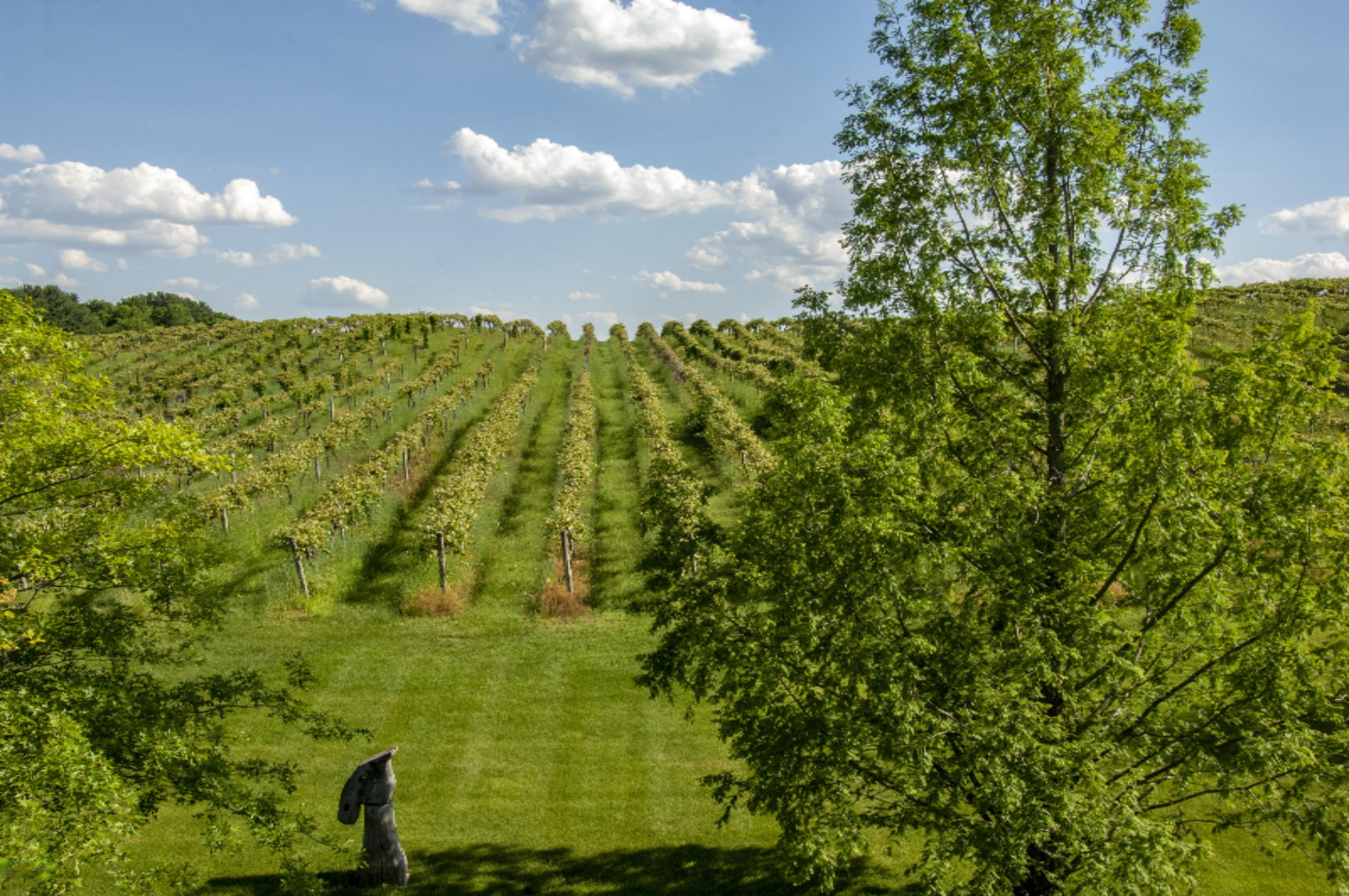 2217 West Wagner Road Buchanan, MI 49107 - Photo 59 of 69 REN_3560