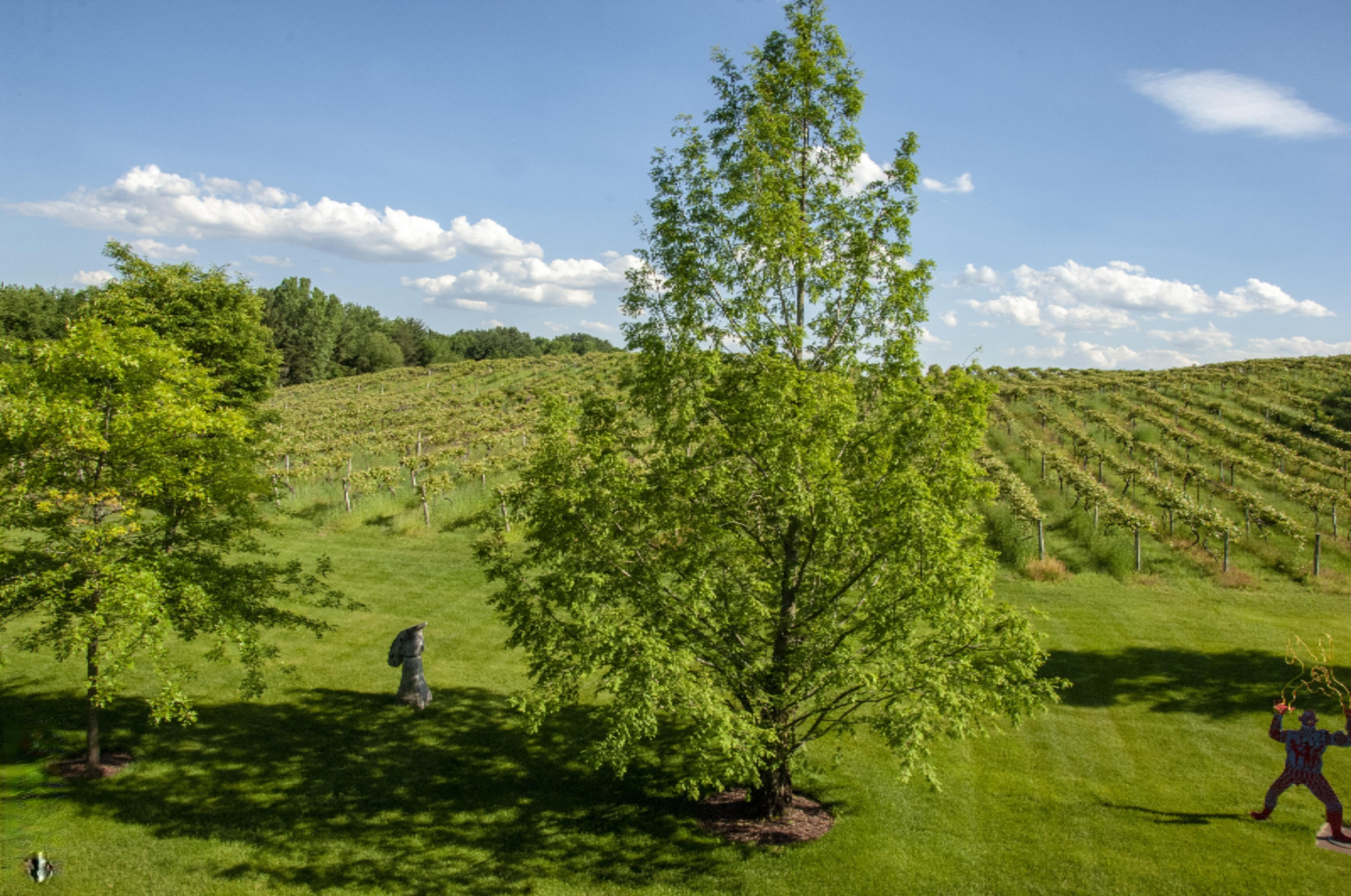 2217 West Wagner Road Buchanan, MI 49107 - Photo 62 of 69 REN_3569