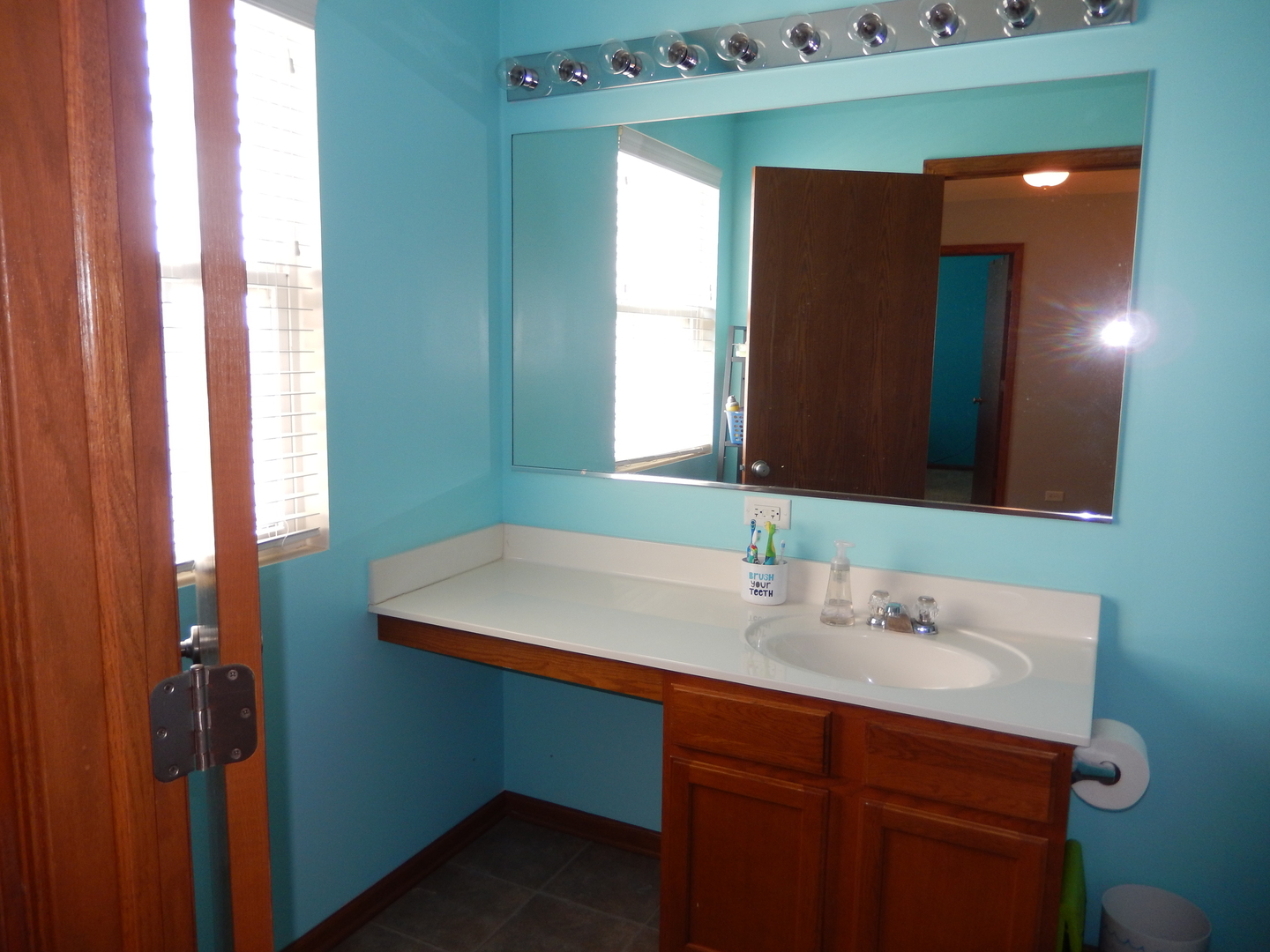 917 Avalon Way Minooka, IL 60447 - Photo 13 of 29