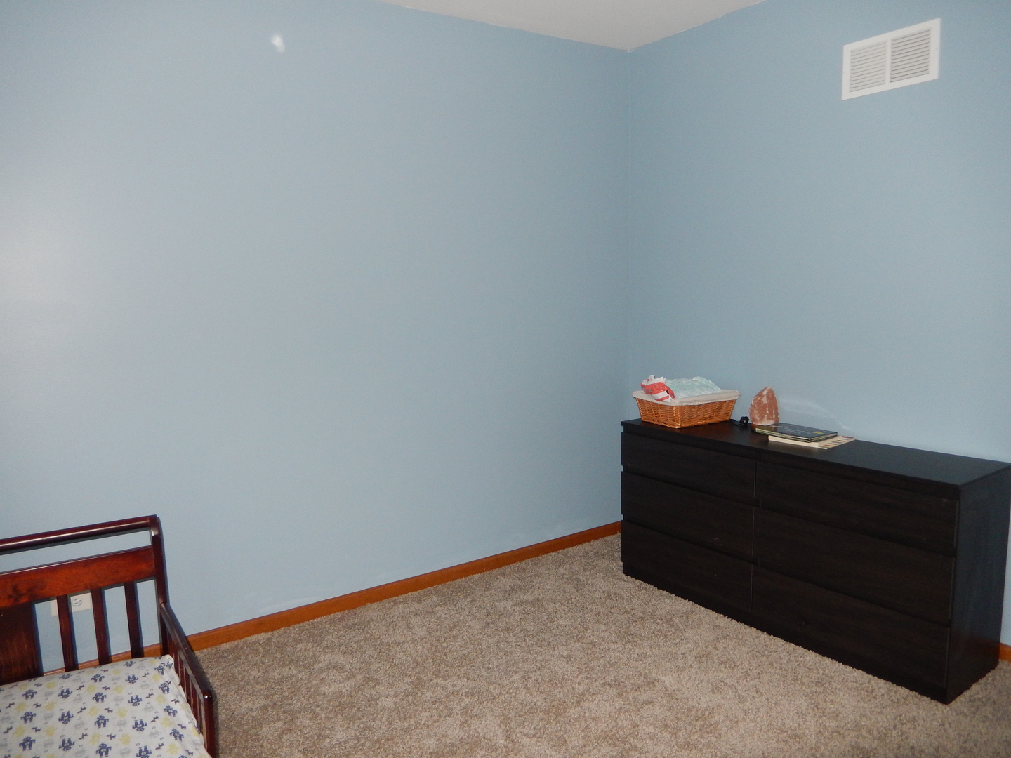 917 Avalon Way Minooka, IL 60447 - Photo 24 of 29