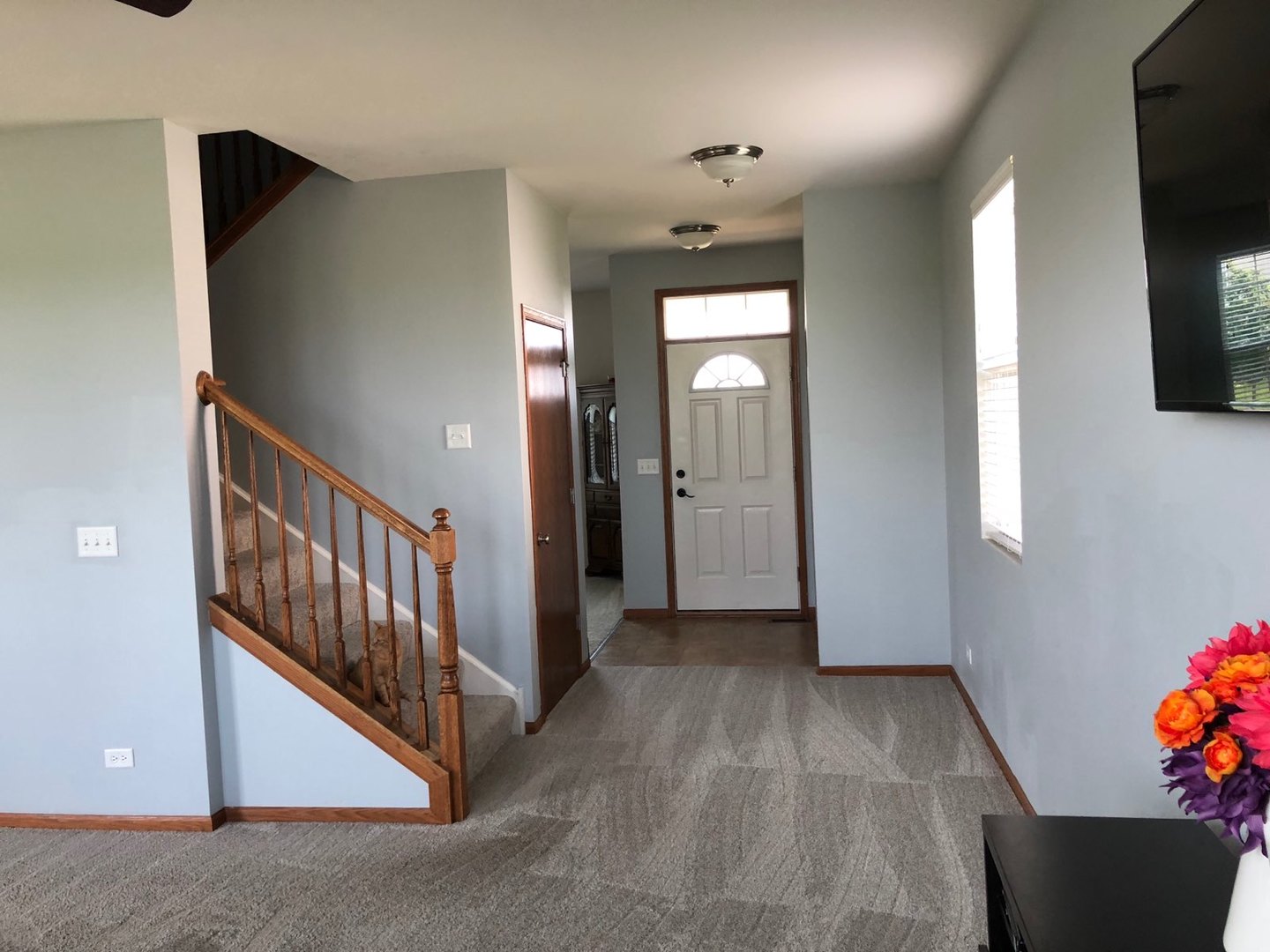 917 Avalon Way Minooka, IL 60447 - Photo 5 of 29