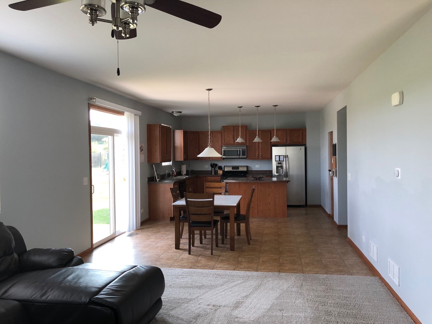 917 Avalon Way Minooka, IL 60447 - Photo 6 of 29