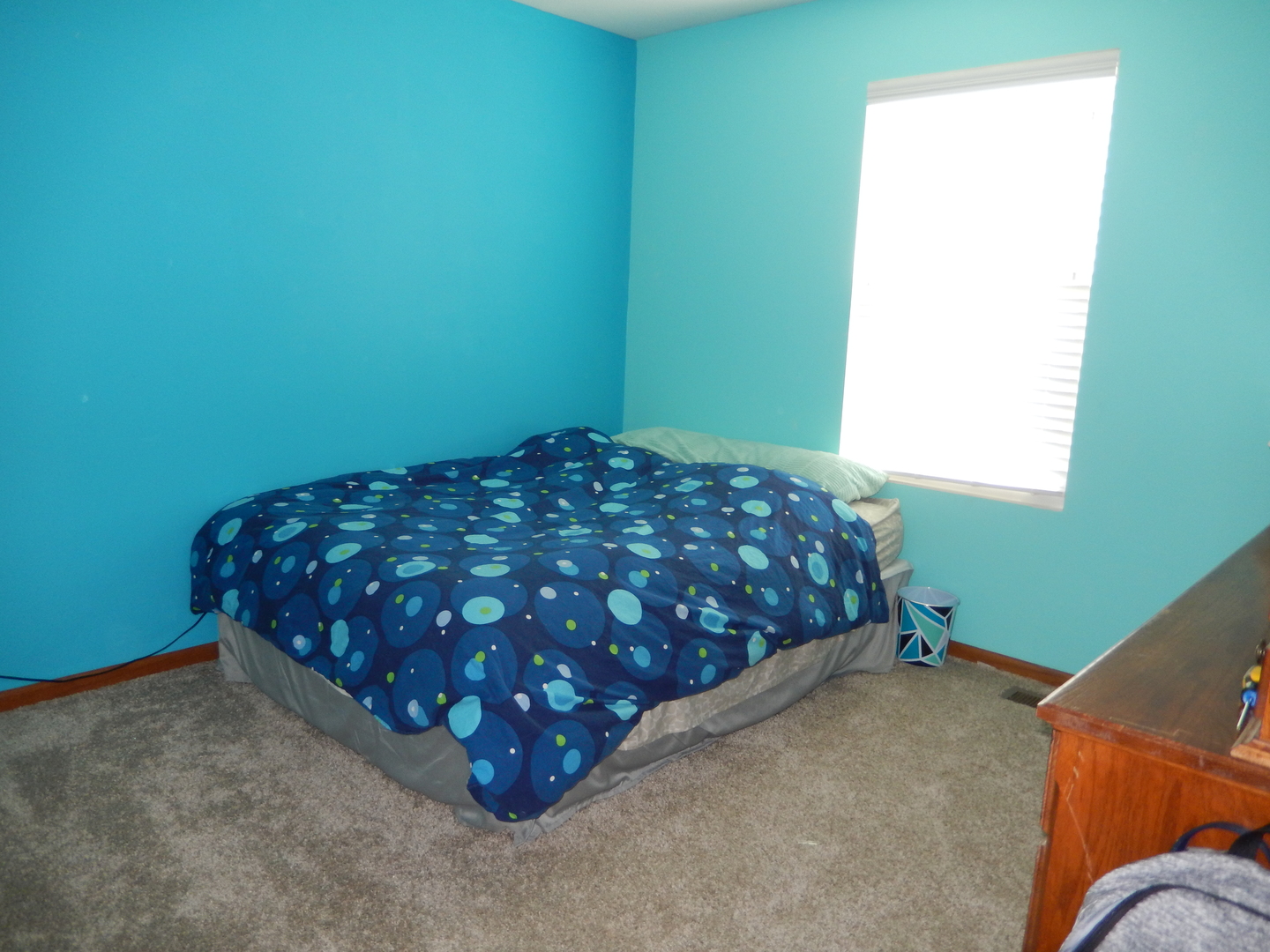 917 Avalon Way Minooka, IL 60447 - Photo 10 of 29