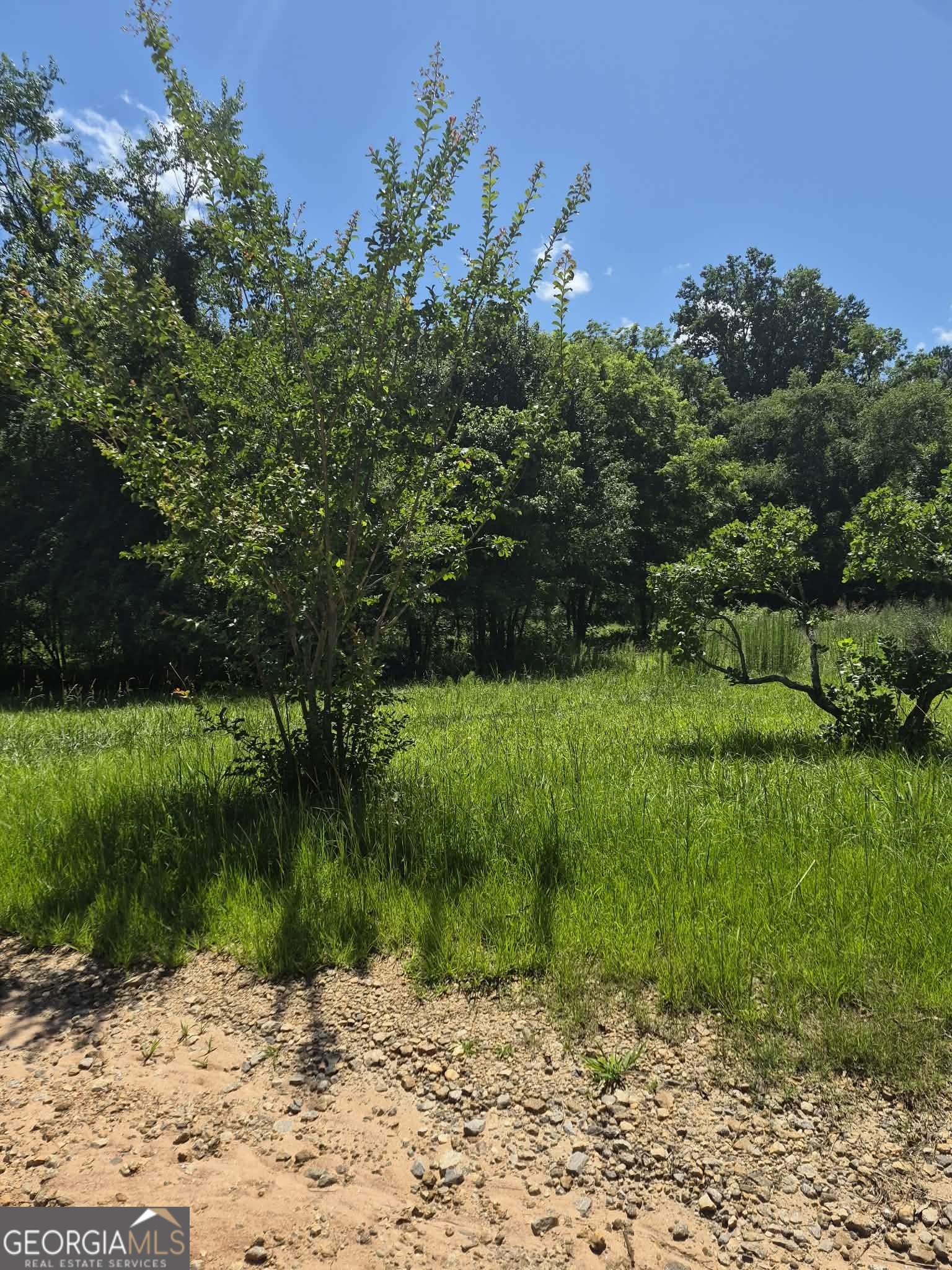 0 Lebanon Church Road Jefferson, GA 30549 - Photo 10 of 29