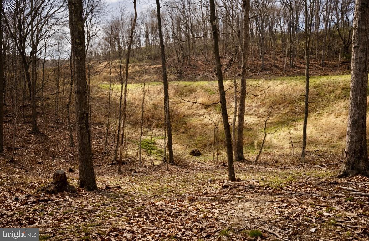 507 Mowry Road Manns Choice, PA 15550 - Photo 5 of 8