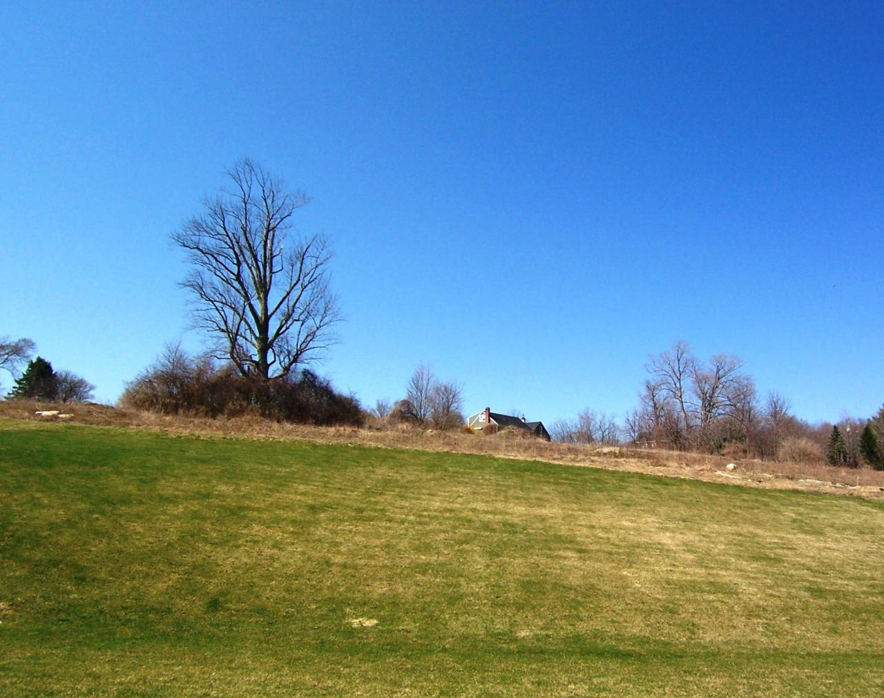 80 Fox Run Lee, MA 01238 - Photo 8 of 12 back yard