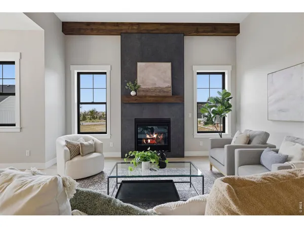 a living room with furniture a fireplace and a potted plant