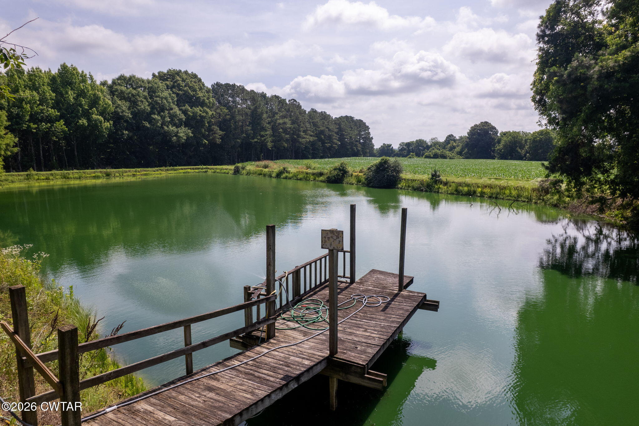 32 Herman Cavitt Road Dyer, TN 38330 - Photo 26 of 36 DJI_0046-HDR