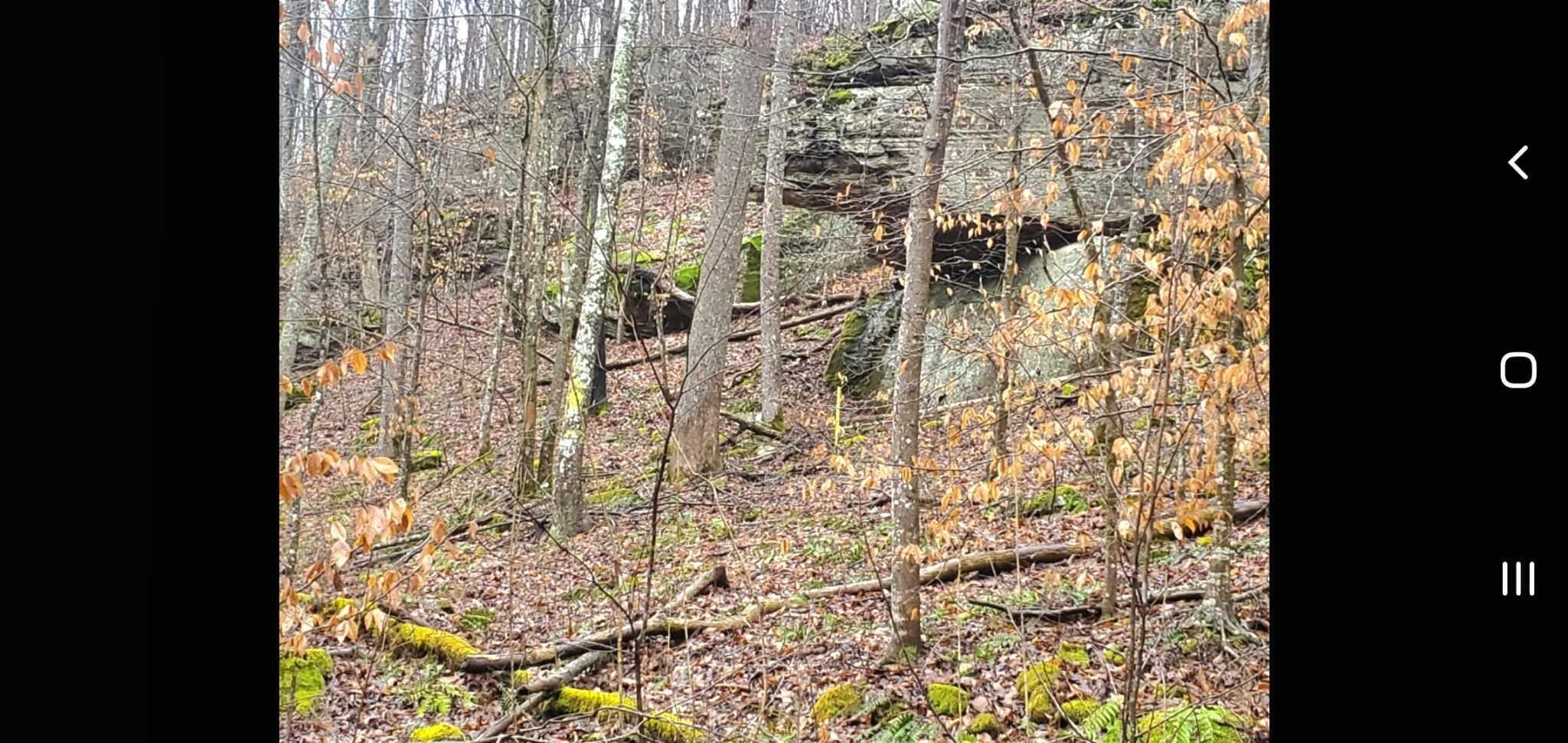 941 Skullbone Tower Road Stearns, KY 42647 - Photo 18 of 20 18