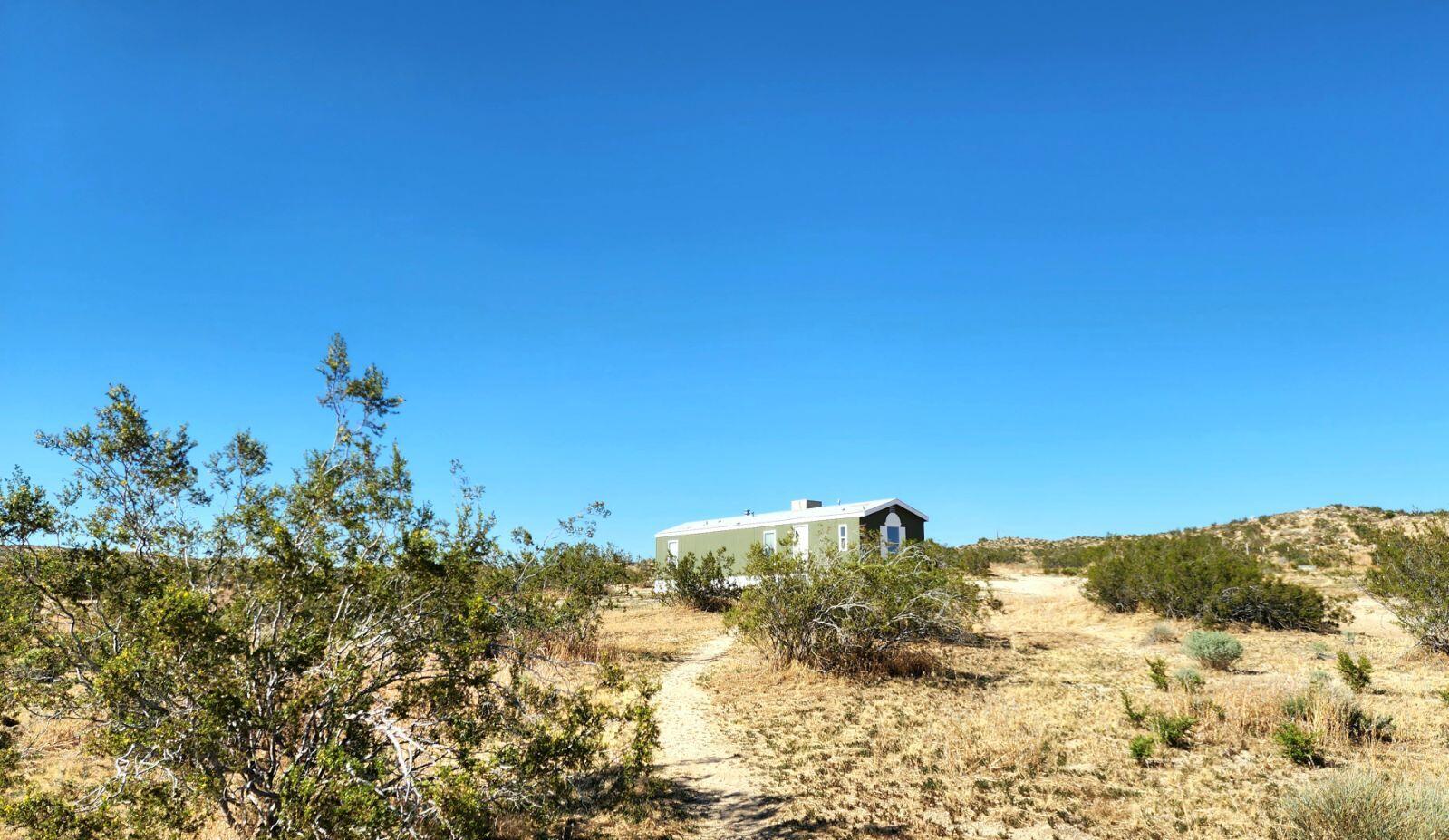 3641 Dawn Road Rosamond, CA 93560 - Photo 22 of 33 a view of a bunch of trees in a field
