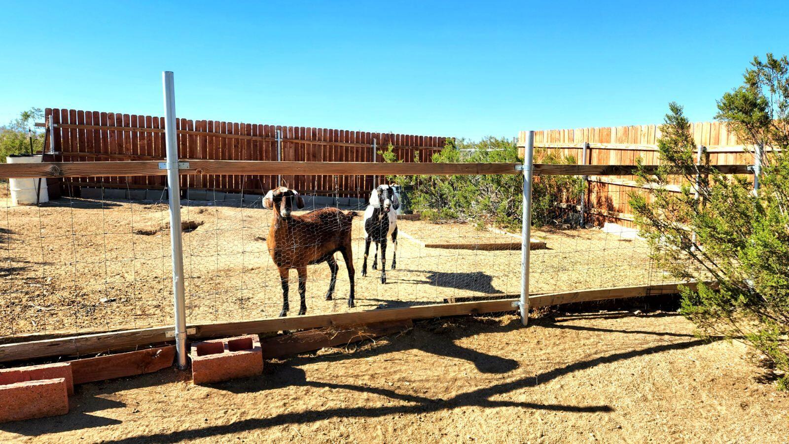 3641 Dawn Road Rosamond, CA 93560 - Photo 32 of 33 a view of a balcony with wooden floor
