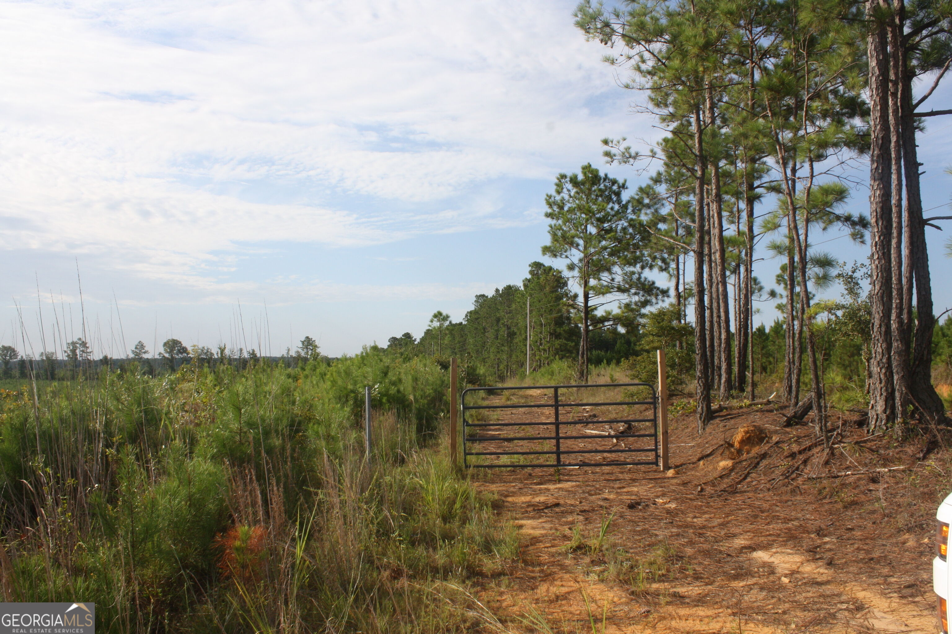 0 Balerma Church Road, Unit TRACT 2 Sparta, GA 31087 - Photo 1 of 19 Gallery Image 1