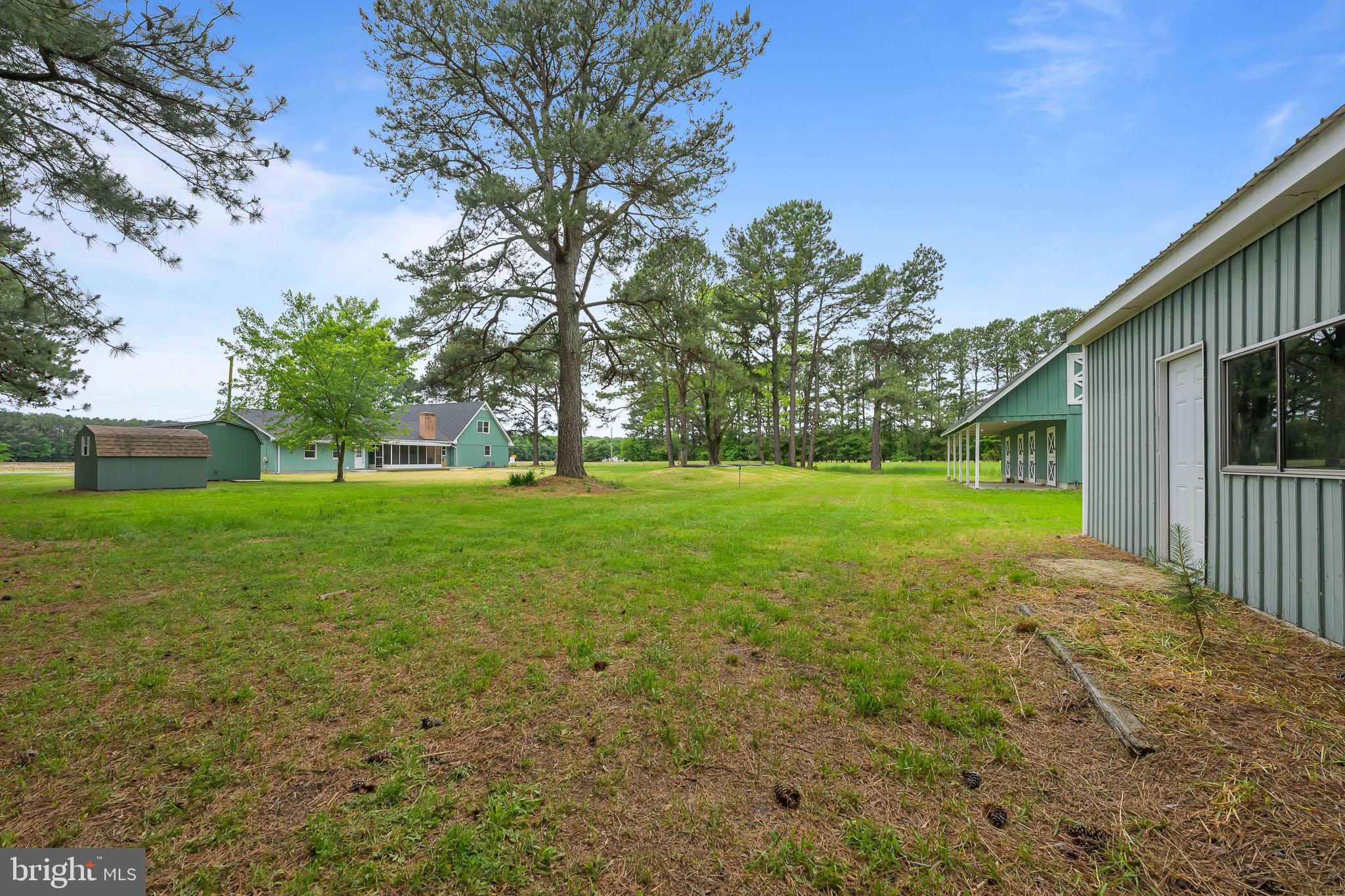 21830 Vaughn Road Georgetown, DE 19947 - Photo 36 of 39 a view of green field with tree in the background