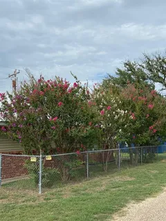 $194,900 | 104 County Road 1296, Morgan, TX 76671