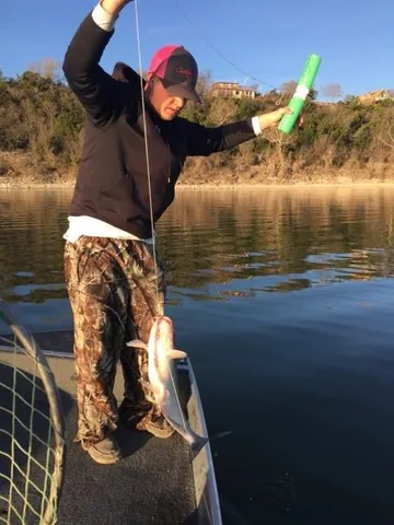 $194,900 | 104 County Road 1296, Morgan, TX 76671