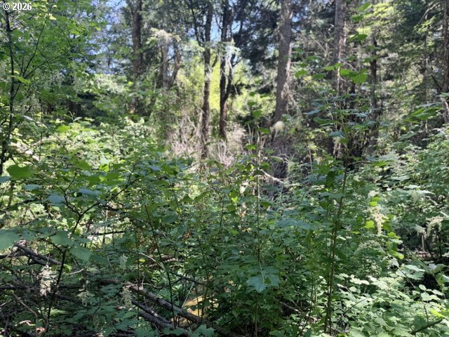 Snowden Road White Salmon, WA 98672 - Photo 20 of 26
