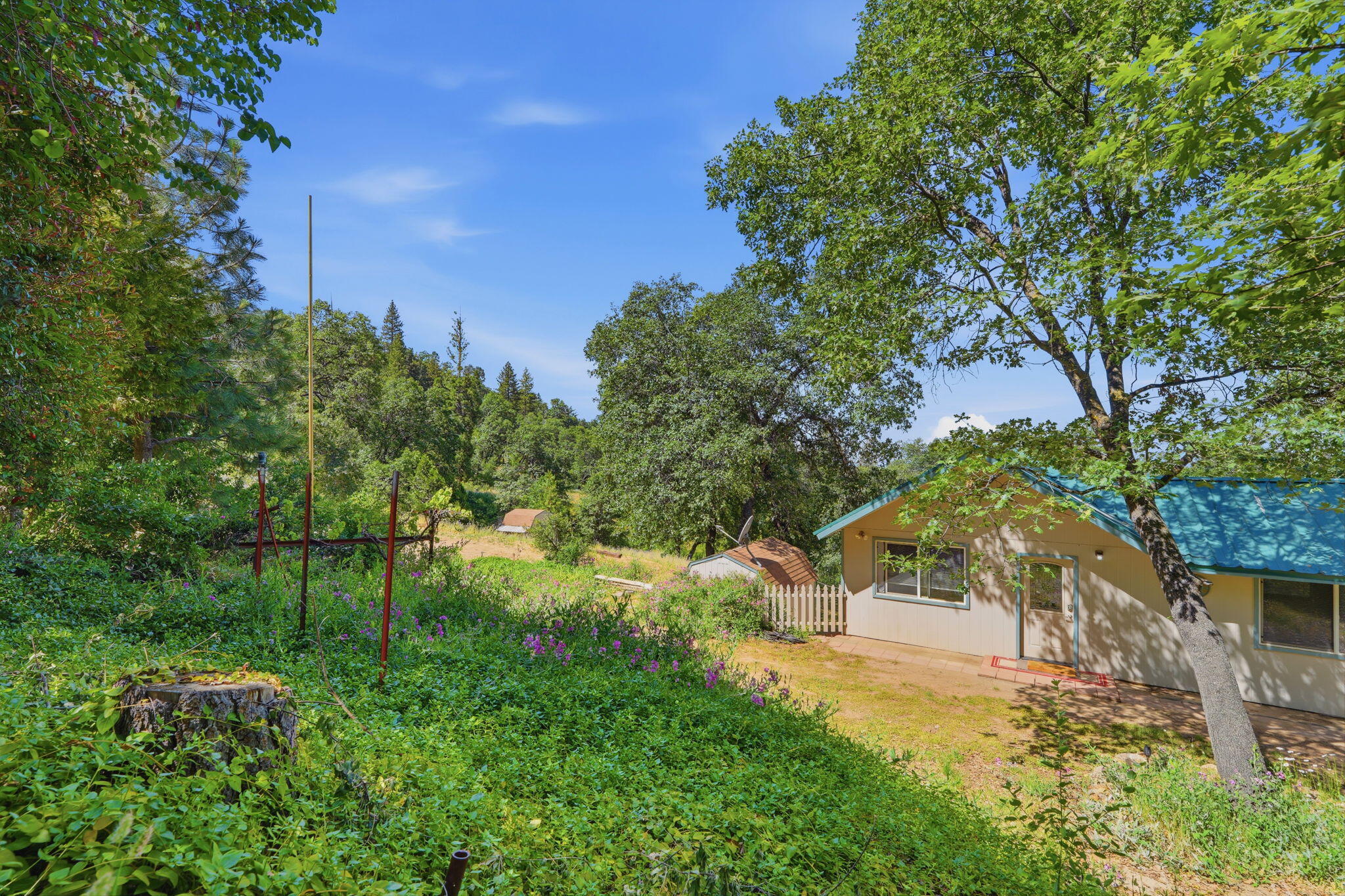 53237 Hogback Drive Miramonte, CA 93641 - Photo 47 of 48