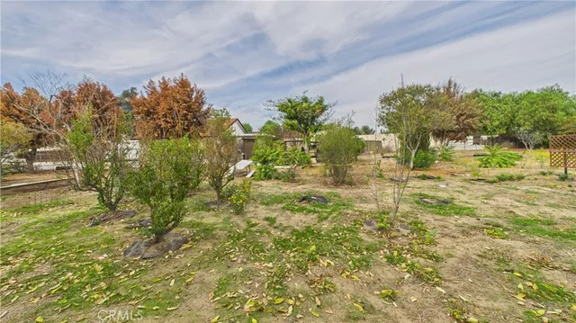 a view of a dry yard with trees
