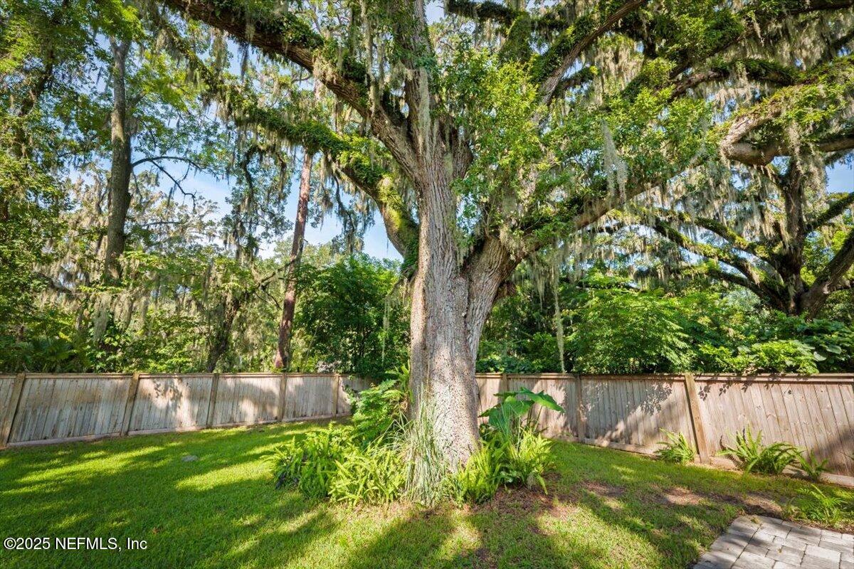 11728 St Josephs Road Jacksonville, FL 32223 - Photo 43 of 49 Back Yard