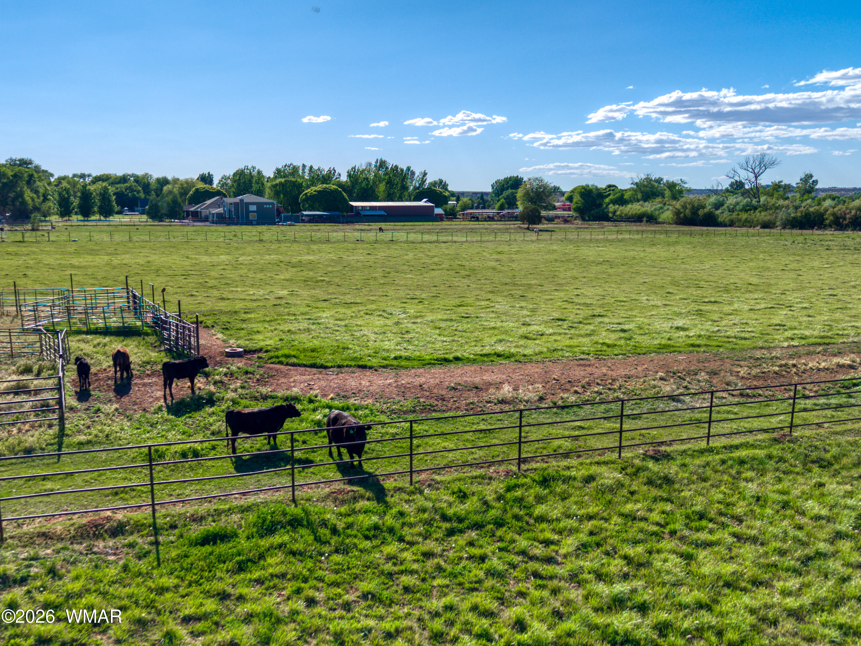 PaxmanPh_DJI_20260520164527_0640_D