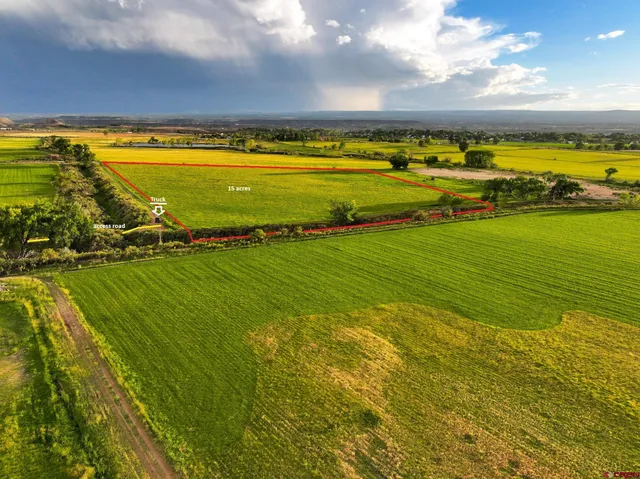 a view of an ocean and beach