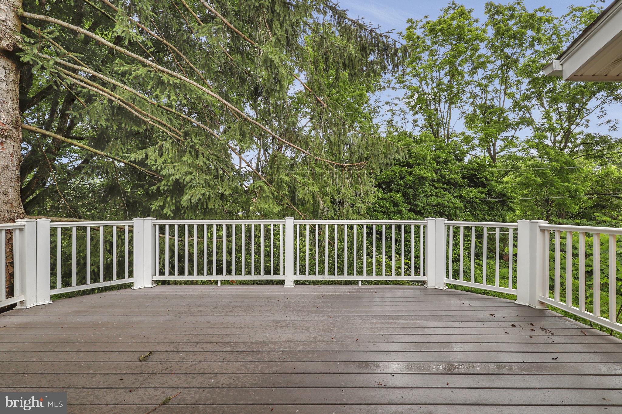 110 Linden Boulevard Middletown, MD 21769 - Photo 29 of 38 a view of balcony with wooden floor