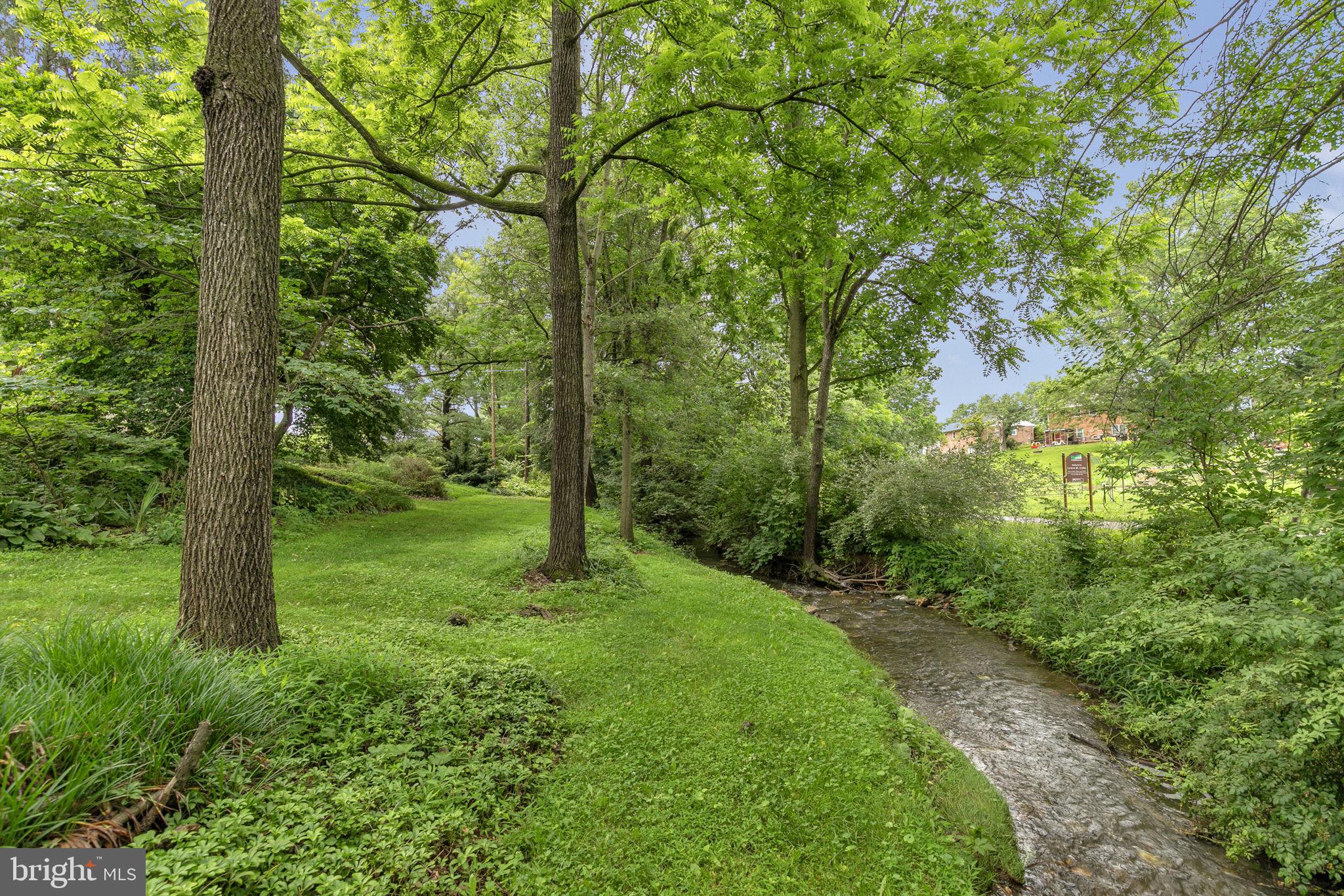 110 Linden Boulevard Middletown, MD 21769 - Photo 34 of 38 a view of a trees with a yard