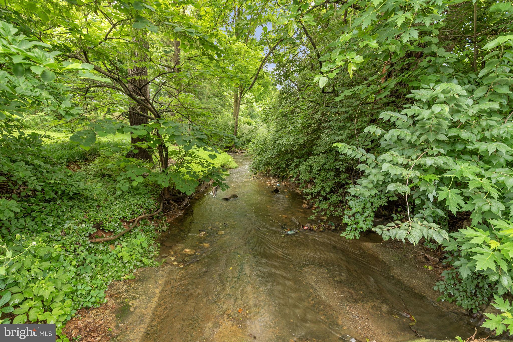 110 Linden Boulevard Middletown, MD 21769 - Photo 35 of 38 a view of a forest