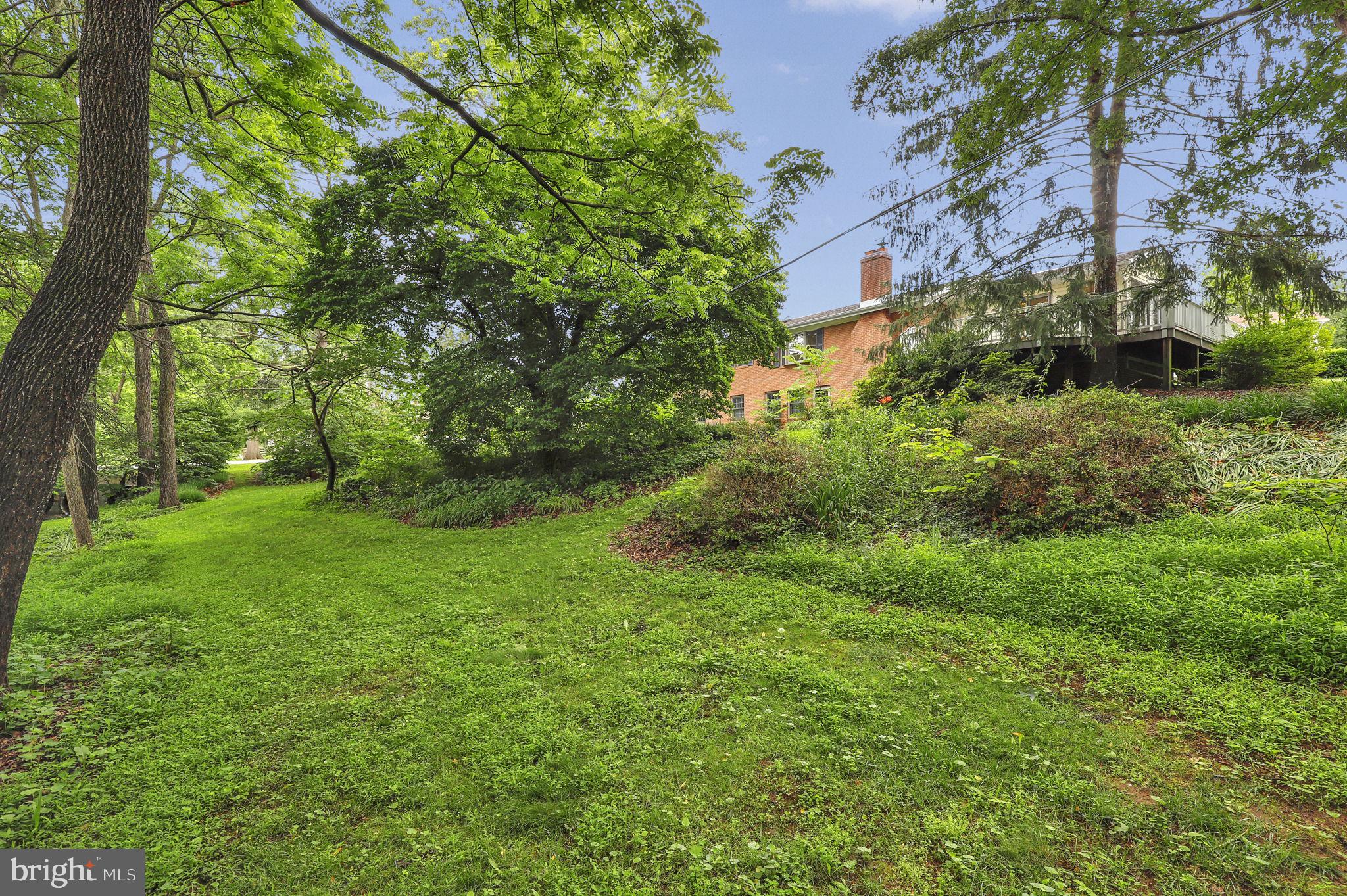 110 Linden Boulevard Middletown, MD 21769 - Photo 36 of 38 a view of a garden